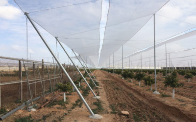 Mallas anti-insectos que mejoran la ventilación en los invernaderos