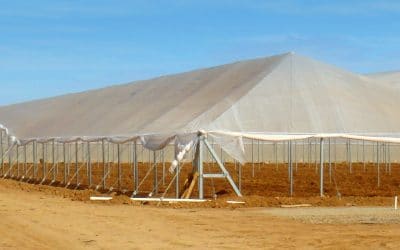 BENEFICIOS DE LA INSTALACIÓN DE MALLAS PARA LA PROTECCIÓN EN LA AGRICULTURA