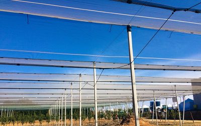 USOS ALTERNATIVOS DE LAS MALLAS AGRICOLAS