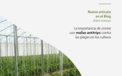 La importancia de la malla antitrips en la horticultura. Aspectos técnicos