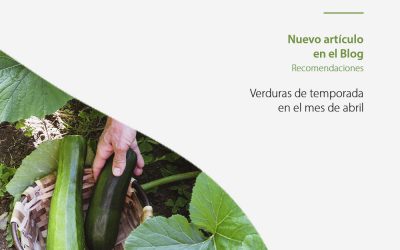 Siembra de temporada en abril ¿Qué cultivar?