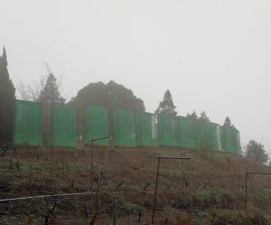Instalación para la recolección de agua de niebla con mallas agrícolas