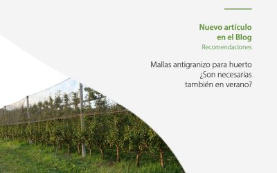 Malla antigranizo para huerto ¿Es necesaria también en verano?
