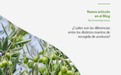 ¿Cuáles son las diferencias entre los distintos mantos de recogida de aceituna?
