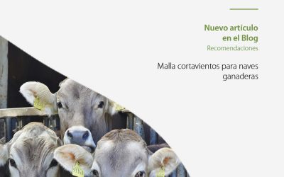 Malla cortavientos para naves ganaderas