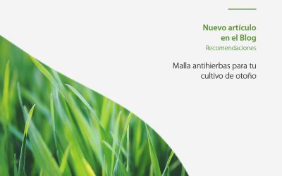 Malla antihierbas para tu cultivo de otoño