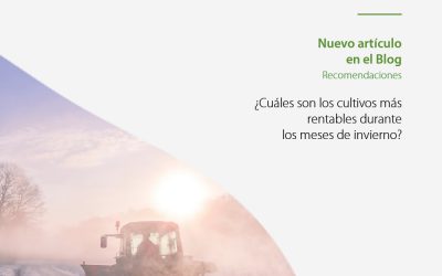¿Cuáles son los cultivos son más rentables en España?