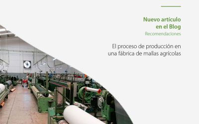 El proceso de producción en una fábrica de mallas agrícolas