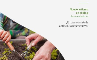 ¿En qué consiste la agricultura regenerativa?