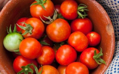 How does heat affect the tomato crop?